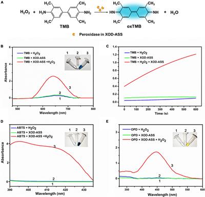 One-Step and Colorimetric Detection of Fish <mark class="highlighted">Freshness</mark> Indicator Hypoxanthine Based on the Peroxidase Activity of Xanthine Oxidase Grade I Ammonium Sulfate Suspension